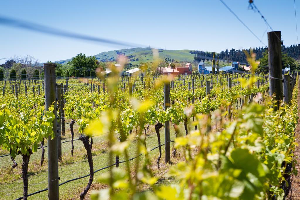 Margrain Vineyard Villas マーティンボロ エクステリア 写真