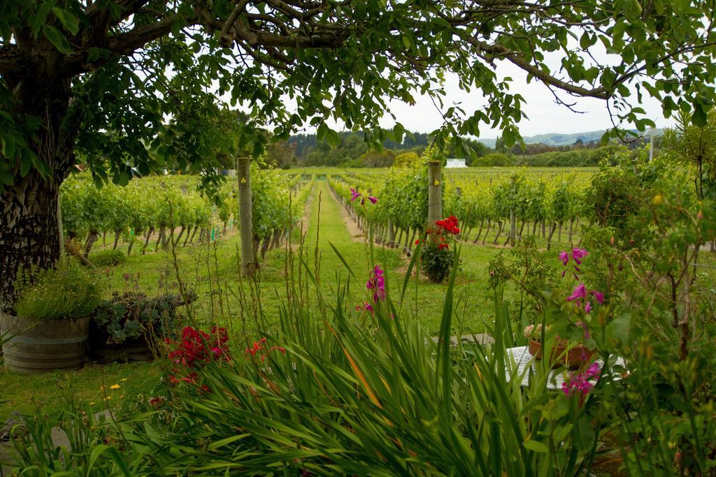 Margrain Vineyard Villas マーティンボロ エクステリア 写真